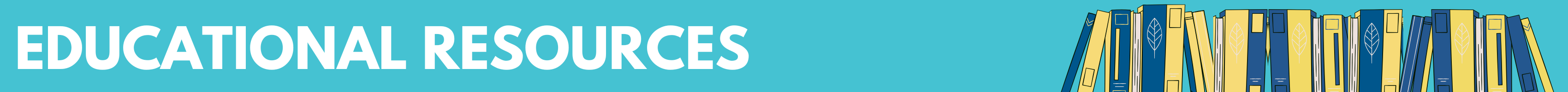 Professional Development